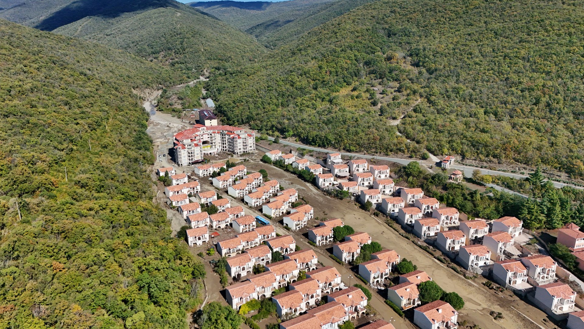 Трагедия в Елените: Обвал цен, которого не видел рынок Болгарии